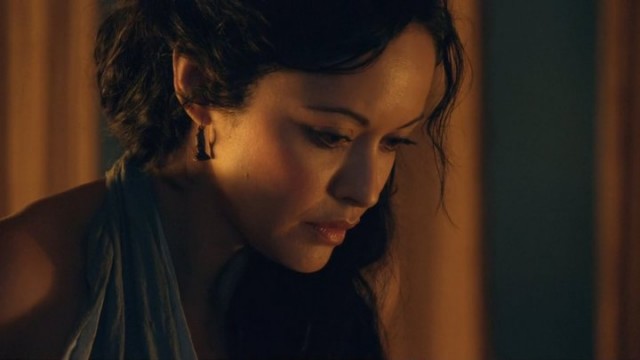 Spartacus: Gods Of The Arena Fotoğrafı