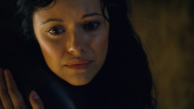 Spartacus: Gods Of The Arena Fotoğrafı