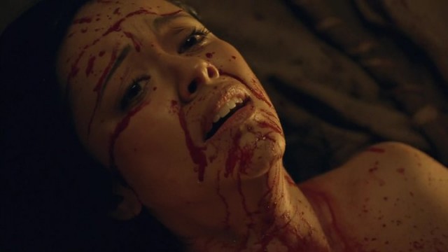 Spartacus: Gods Of The Arena Fotoğrafı