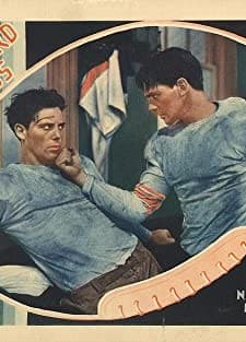 The Forward Pass (1929) afişi