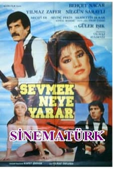 Sevmek Neye Yarar (1986) afişi