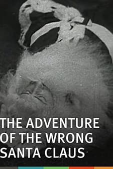 The Adventure Of The Wrong Santa Claus (1914) afişi