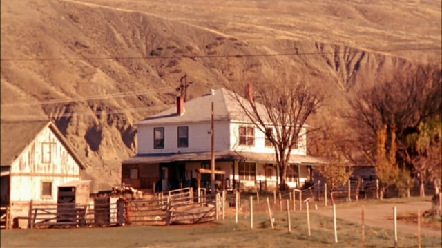 Asla Yabancılarla Oynama 2 Fotoğrafı