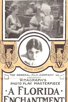 A Florida Enchantment (1914) afişi