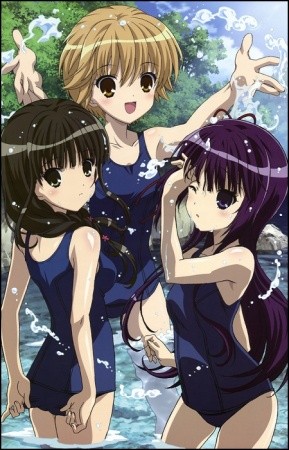 Ookamikakushi (2010) afişi