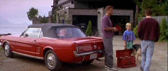 Saplantı Fotoğrafı