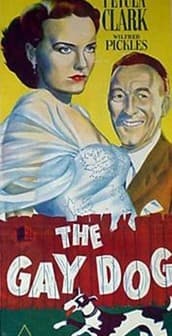 The Gay Dog (1954) afişi