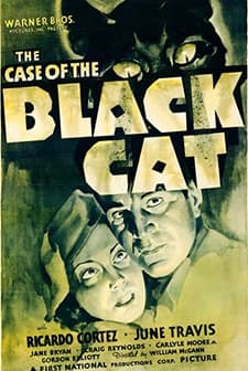 The Case Of The Black Cat (1936) afişi