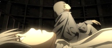 Pale Cocoon Fotoğrafı