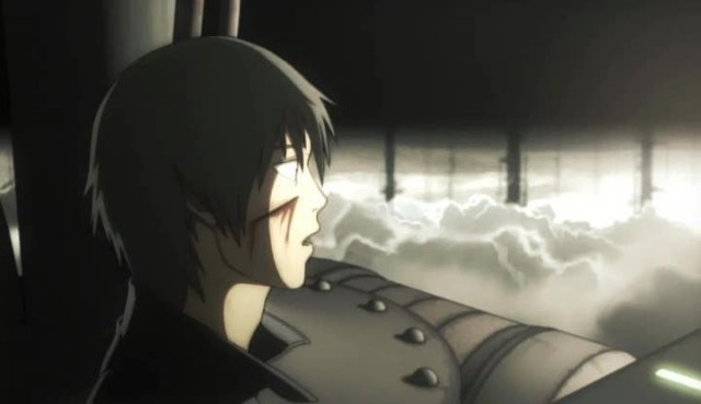 Pale Cocoon fotoğrafı