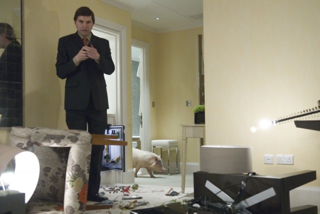 Dost Kazığı Fotoğrafı