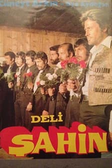 Deli Şahin (1976) afişi