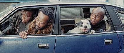 Kapışma Fotoğrafı