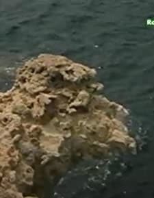 Ritorno a Lisca Bianca (1983) afişi