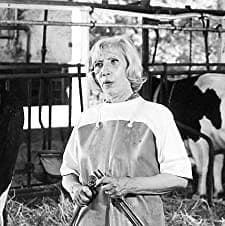 Viechereien (1977) afişi