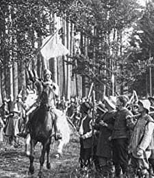 Der Ochsenkrieg (1920) afişi