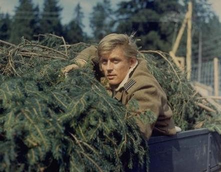 Büyük Kaçış Fotoğrafı