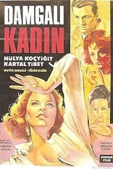 Damgalı Kadın (1966) afişi