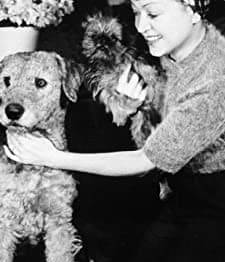 Mädchen Für Alles (1937) afişi