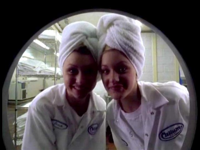 Cow Belles Fotoğrafı