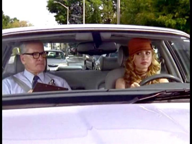 Cow Belles Fotoğrafı