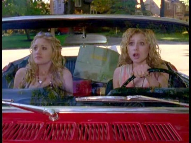 Cow Belles Fotoğrafı