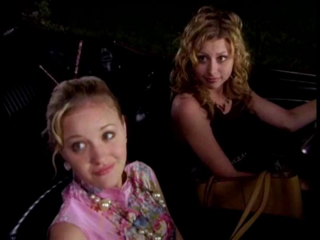 Cow Belles Fotoğrafı