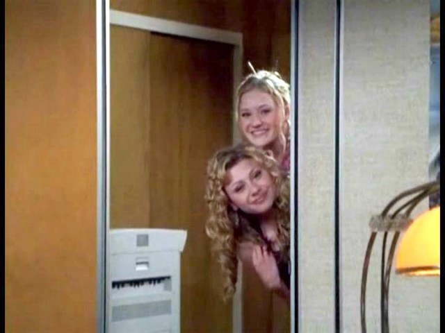 Cow Belles Fotoğrafı