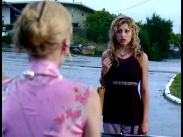 Cow Belles Fotoğrafı