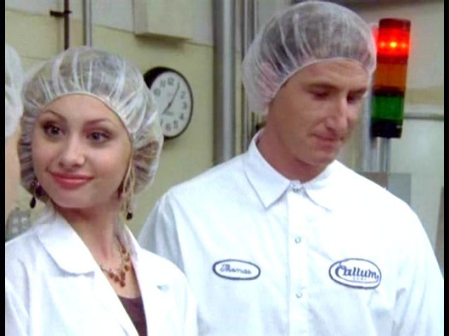 Cow Belles Fotoğrafı