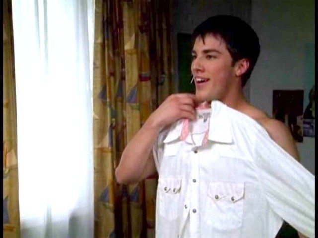 Cow Belles Fotoğrafı