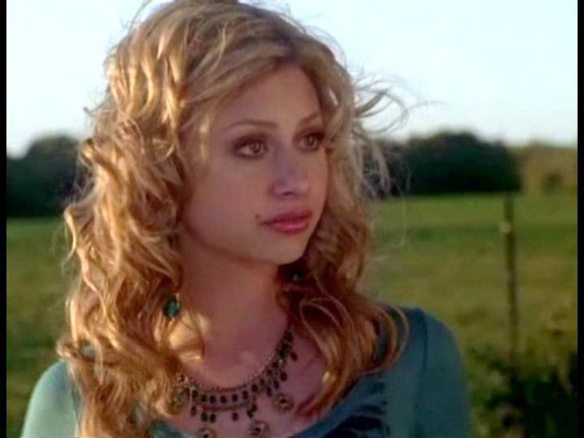 Cow Belles Fotoğrafı