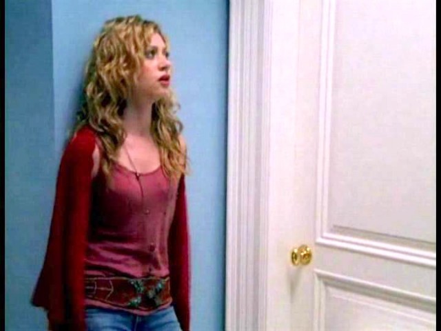 Cow Belles Fotoğrafı