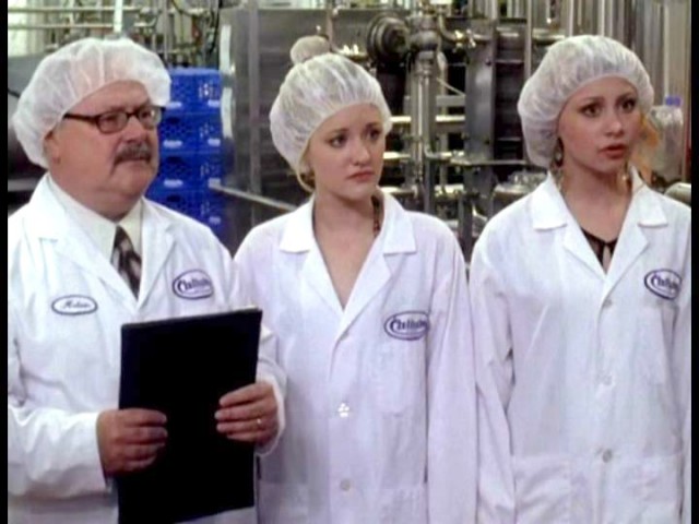 Cow Belles Fotoğrafı