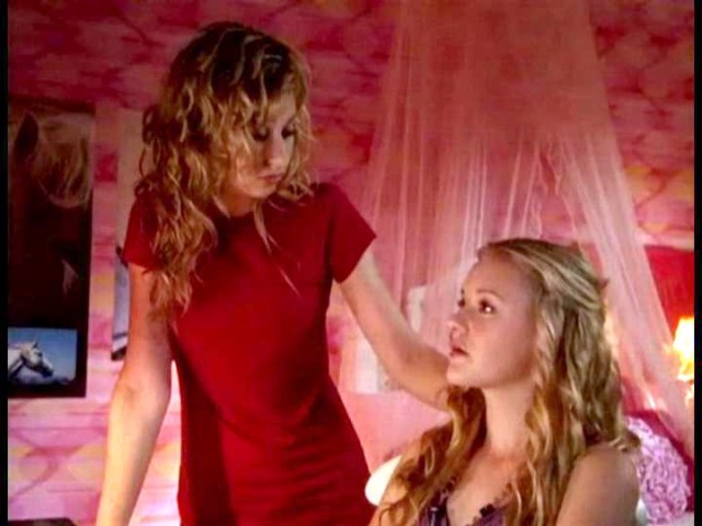 Cow Belles Fotoğrafı