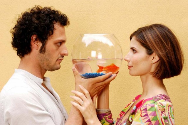 Goodbye Mr. Zeus fotoğrafı