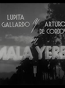 Mala Yerba (1940) afişi
