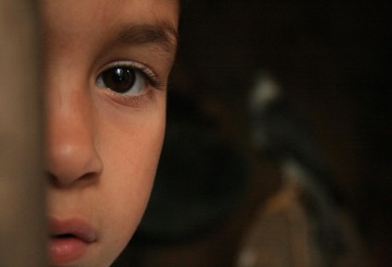 Bal 9 Nisan’da Vizyona Giriyor