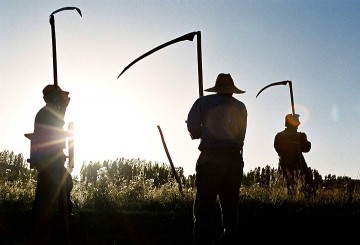 TRT Uluslararası Belgesel Film Yarışması