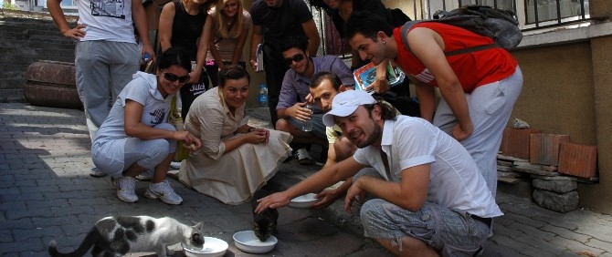 Bir Kap Su, Bir Kap Mama