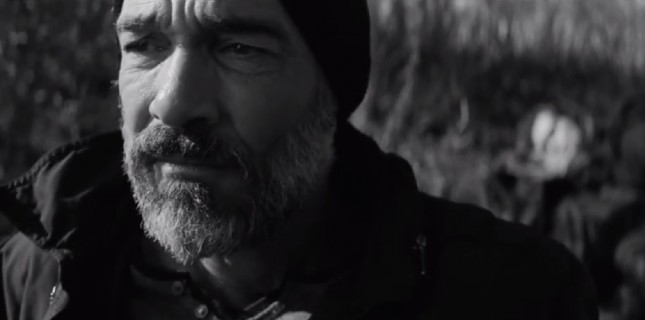 'Buğday'a Japonya’da Büyük Ödül!