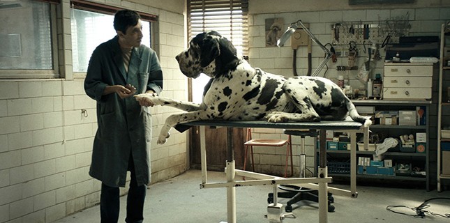 David Di Donatello Ödülleri, 63. Kez Verildi!