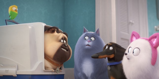 Evcil Hayvanların Gizli Yaşamı 2 - Ödüllü Facebook Yarışması