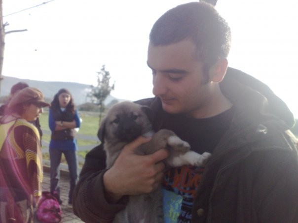 Yılmaz Calayır Fotoğrafı