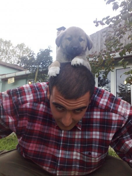 Yılmaz Calayır Fotoğrafı