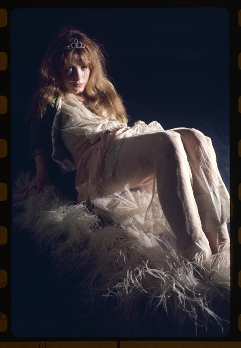 Pamela Des Barres fotoğrafı