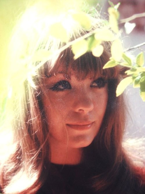 Pamela Des Barres fotoğrafı