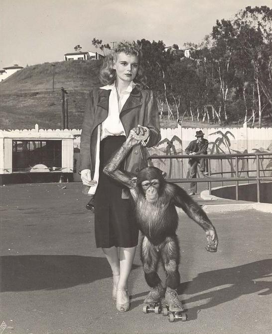 Marie Wilson fotoğrafı