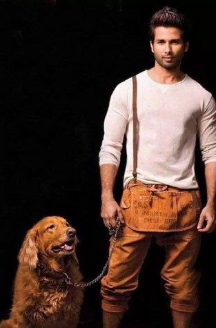 Shahid Kapoor Fotoğrafı