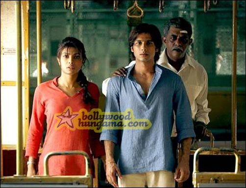 Shahid Kapoor Fotoğrafı